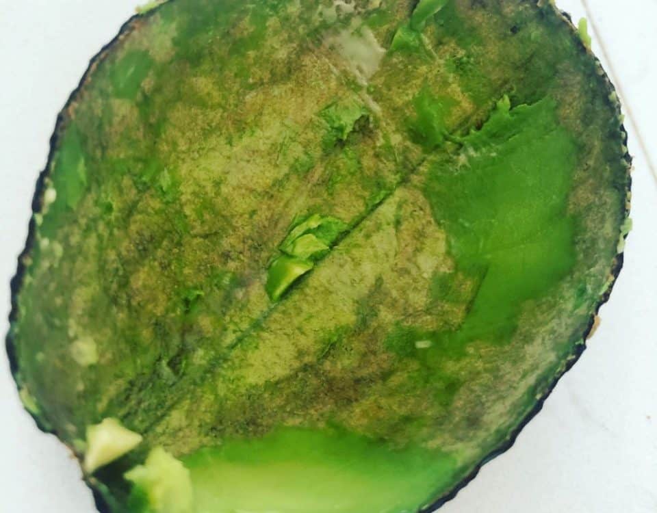 Avocado