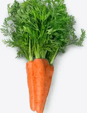 Carrots